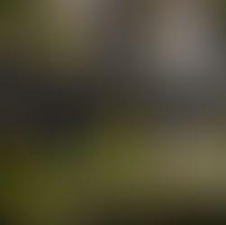 Dodmoor House Wedding