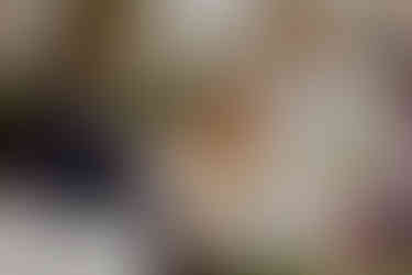 The Orangery, Holland Park, London W8 6LU