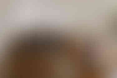 The Orangery, Holland Park, London W8 6LU