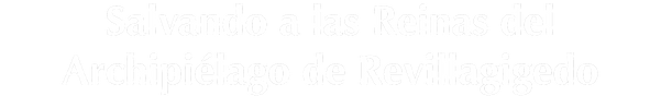 ReinasRevi_edited.png