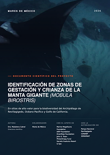 Captura de pantalla 2026-08-04 a la(s) 6.28.38 p.m..png