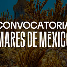 Convocatoria Mares de México 2026