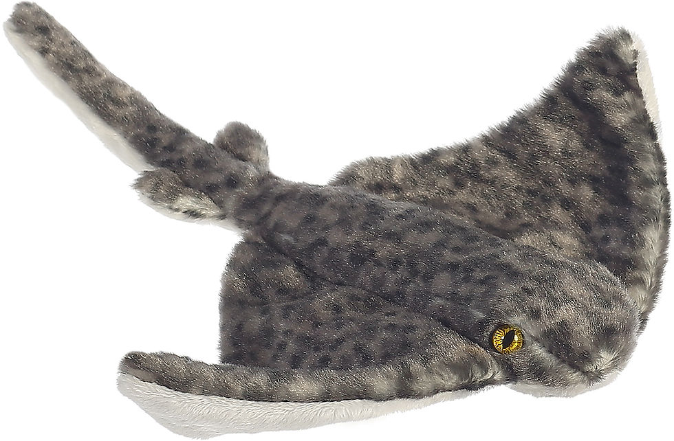 Miniatura: Mantarraya