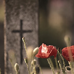 old-grave-4261638_edited.jpg