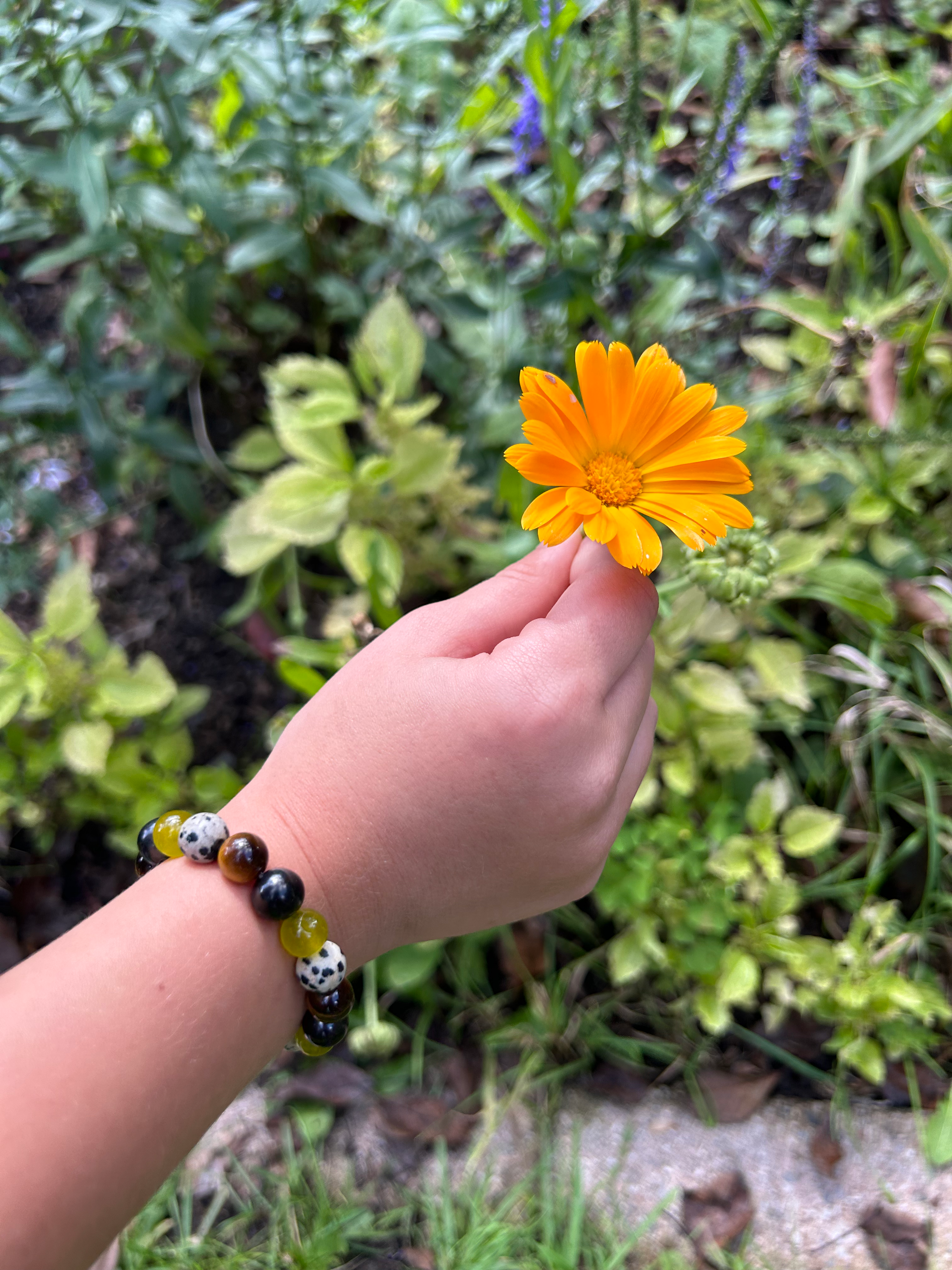 Beautiful Color Bracelet - FOR KIDS!