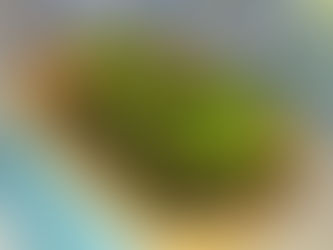 Upcycling-Projekt der Klassen 1D und 2B