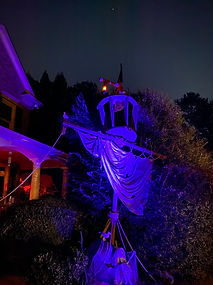 IMG_9206.jpeg
