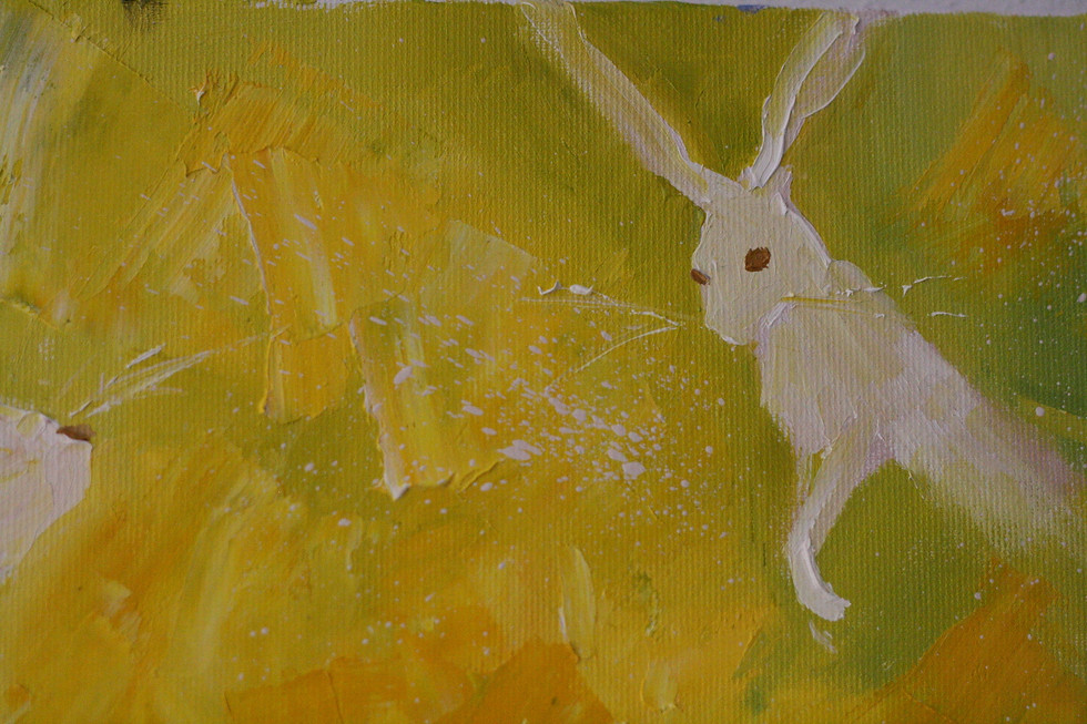 Thumbnail: Beware! Hares everywhere