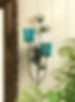 Thumbnail: PEACOCK PLUME WALL SCONCE