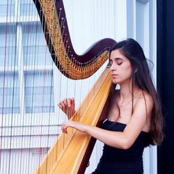 TAL VAKNINE