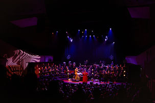 𝙸 𝚊𝚖 𝙲𝙴𝙻𝙴𝙱𝚁𝙰𝚃𝙸𝙽𝙶 𝙰𝚁𝙴𝚃𝙷𝙰 // @shirmarouse & @orkestkoninklijkeluchtmacht
De Nederlandse Queen of Soul Shirma Rouse bracht samen met het Orkest Koninklijke Luchtmacht een eerbetoon aan dé Queen of Soul @arethafranklin. En niet zomaar een eerbetoon: What a Voice …
@muziekgebouwehv #shimarouge #arethafranklin #soul #jazz #soulmusic #jazzmusic #concertphotography #concertphotographer #concertfotografie #muziekgebouw #muziekgebouweindhoven #queenofsoul #thevoice #reddress #powerwoman #celebrating #celebratingwomen