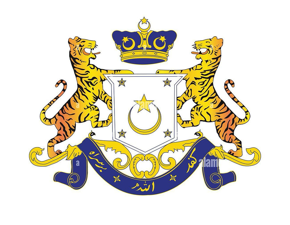 WhatsApp Image 2025-03-03 at 05.24_edited