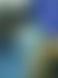 Delco krónikák - Tartalomjegyzék