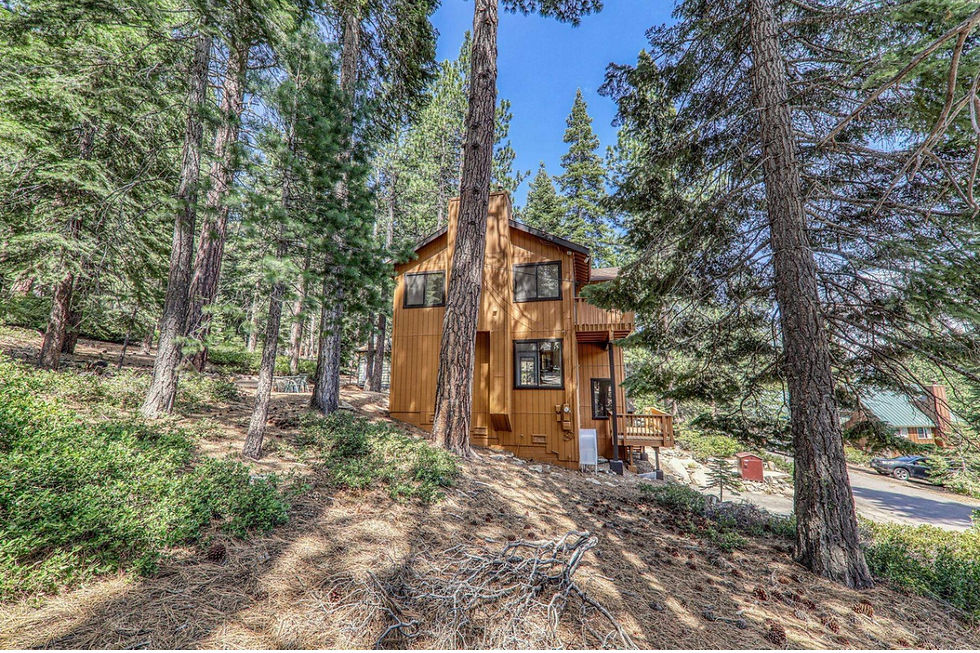 Pine and pier 2 .jpg