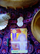 soin énergétique fleurs de bach cholet.jpg