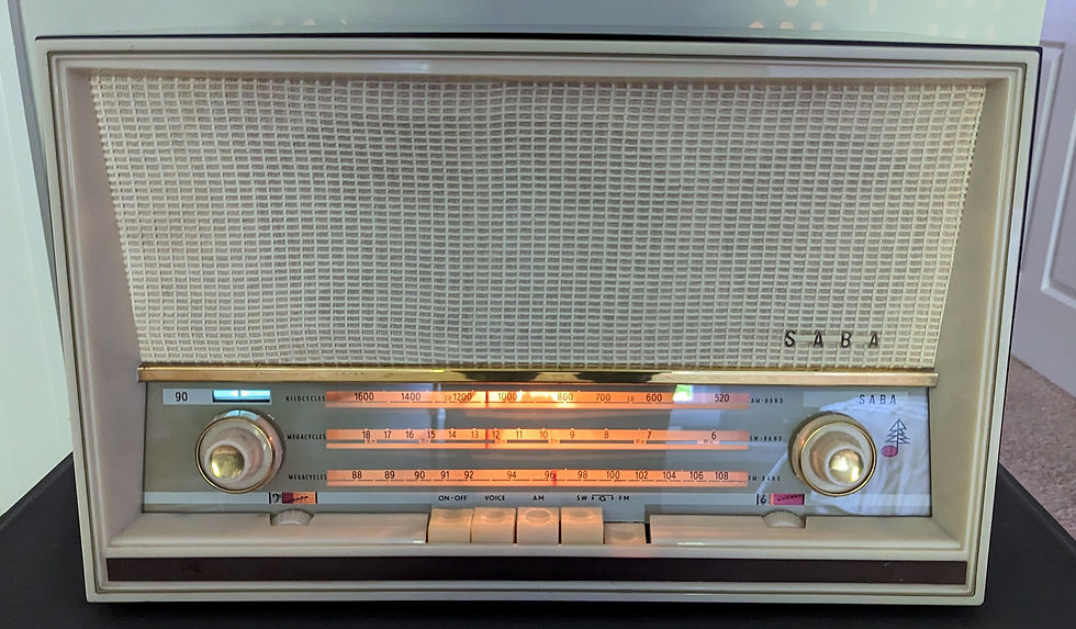 独SABA Permadyn 19-200 フルレンジユニット　2本 SABA(サバ) Permadyn 19-200 フルレンジSPユニット | VintageAudio