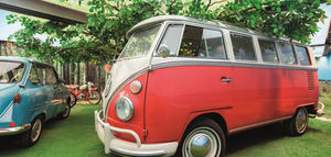Rote VW-Bus-Sammlung im Grünen