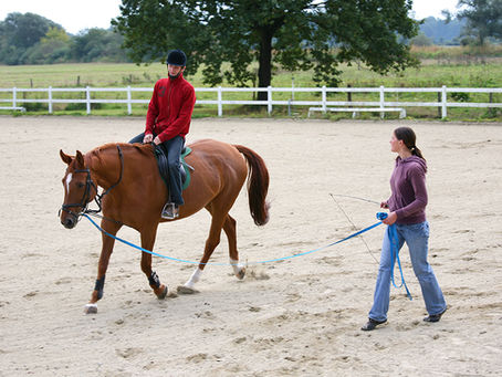 Horse Behavior: The Evil Spray Bottle