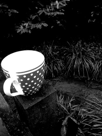 20230129_154110 copy.jpg