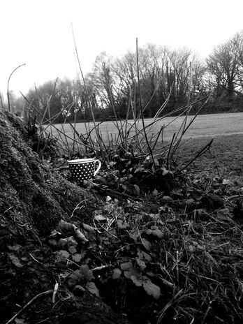 20230129_145213 copy.jpg