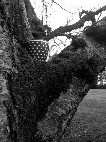 20230129_151308 copy.jpg