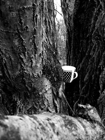 20230129_152841(0) copy.jpg