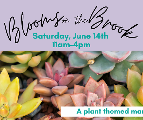 Blooms On the Brook (Google Classroom Header) (1920 x 1080 px).png