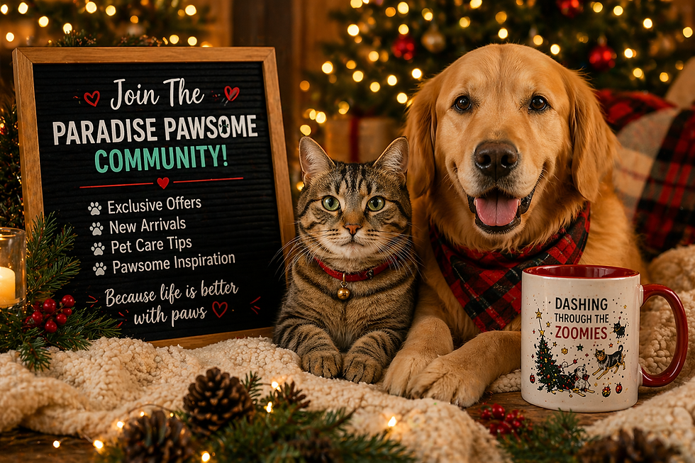 Cat and dog in festive setting with Christmas lights, sign about "Paradise Pawsome Community," cozy blanket, and themed mug.