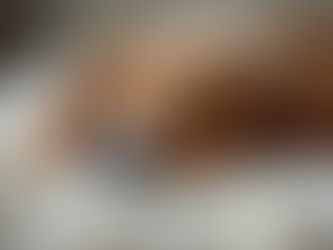 The Benefits of Pet Sound Healing for Our Beloved Companions