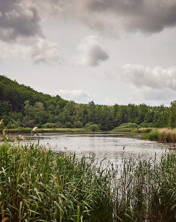 Åsljungasjön runt.jpg