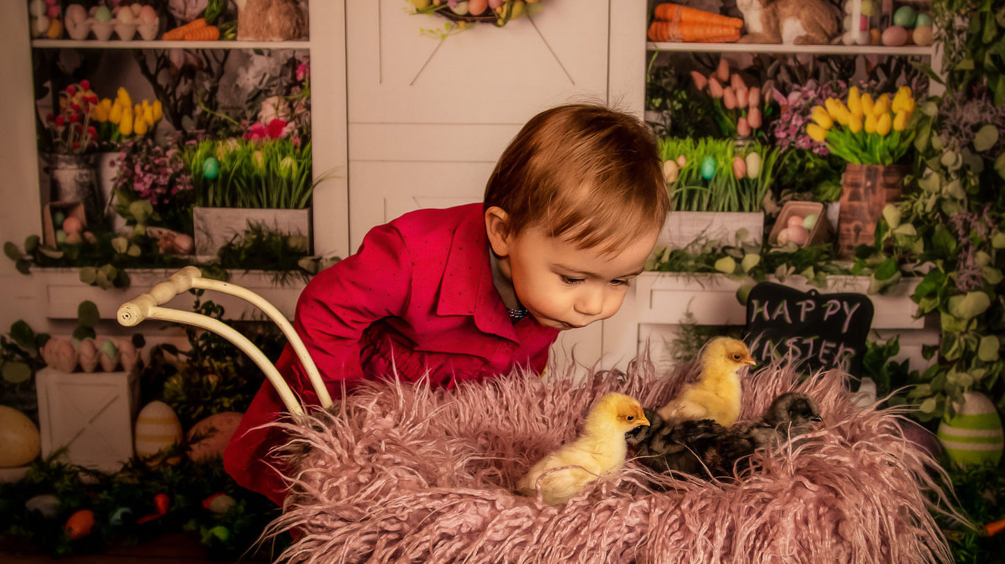 Easter shoot Just Between Us Photography Woodstock Ontario