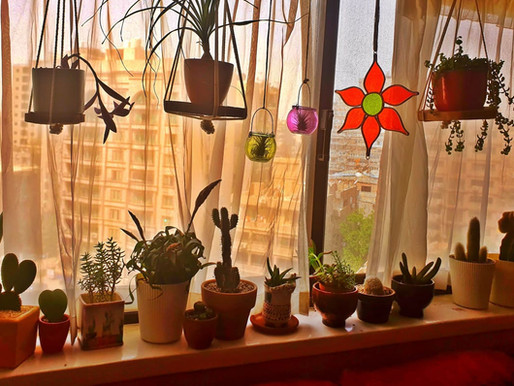 Indoor light conditions explained.