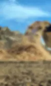 Ağaç Kökü Parçalama Makinesi, atık yönetimi ve geri dönüşüm süreçlerinde ideal bir çözümdür. Yüksek tork-düşük hız kombinasyonu ile ağaç kökleri, odunsu atıklar ve hurda tahtaların verimli bir şekilde parçalanmasını sağlar. Enerji verimliliği sunan motorları ve dayanıklı yapısıyla uzun ömürlü kullanım sunar. Mobil tasarımı sayesinde tarım ve orman yönetimi gibi farklı alanlarda kullanılabilir. Kullanıcı dostu kontrol panelleri ile kolay kullanım ve yüksek operasyonel verimlilik sağlar. Bu makine, ağaç kökü parçalama, palet parçalama, odunsu atık geri dönüşümü, hurda tahta parçalama, tarım ve orman atıkları parçalama ve çevresel sürdürülebilirlik için mükemmel bir tercihtir.