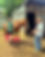 4742978C-4A36-4917-8904-C8378D915219.jpeg