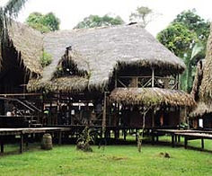 JAMU.jpg