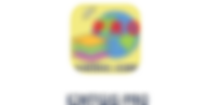 ICMTIS PRO professional mapping