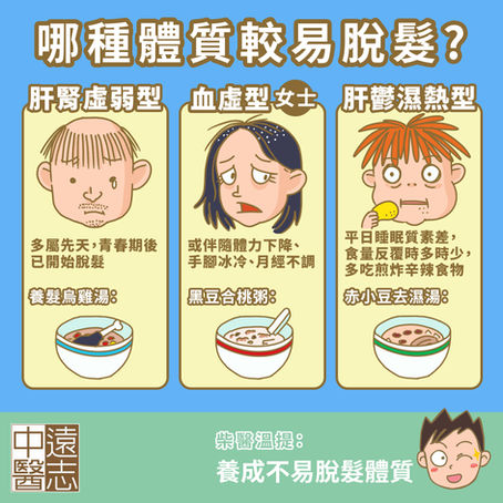 哪種體質較易脫髮?改善體質有助生髮