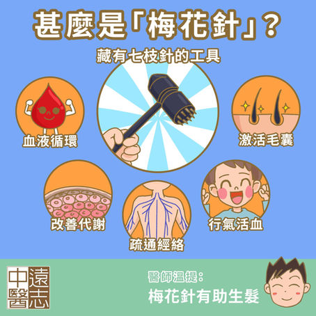 甚麼是梅花針？
