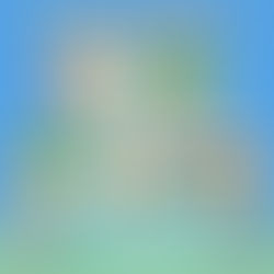 三個月白髮變黑?白髮或與營養不足有關