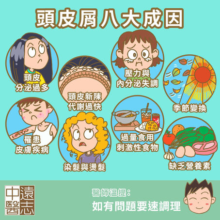 頭皮屑八大成因