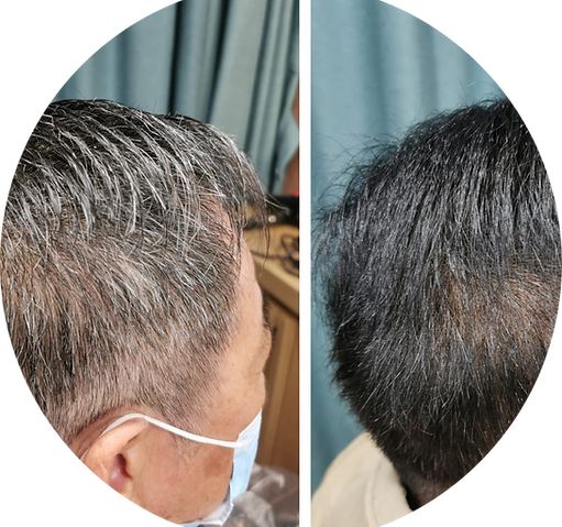 純草本染髮護髮