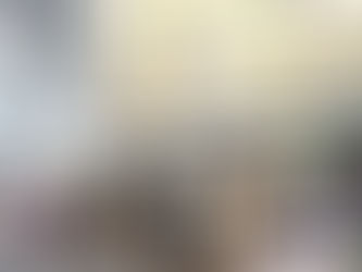 お披露目会の報告