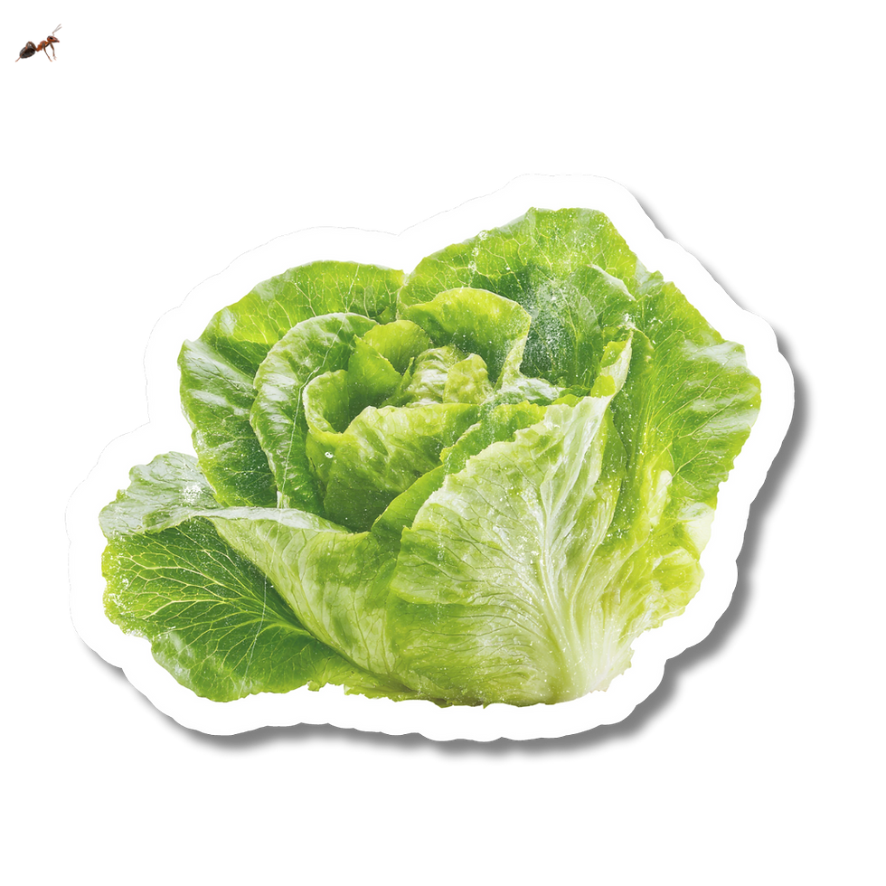 77.png