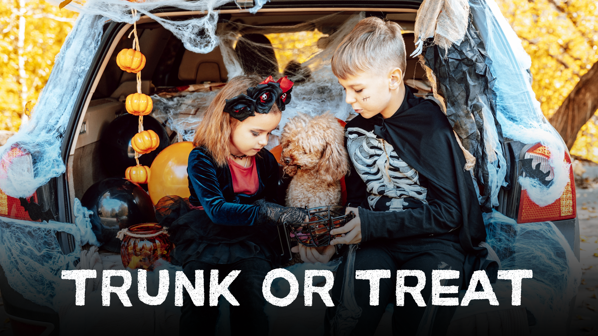 Trunk or Treat at Brookdale Cape May event artwork