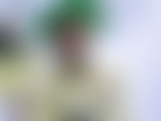 Da Next Level Sports Management and Recruiting Group Congratulates Stephan Pascal on Cool & Smooth T20 Selection