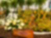 Grenada Wins Gold at RHS Chelsea Flower Show 2026