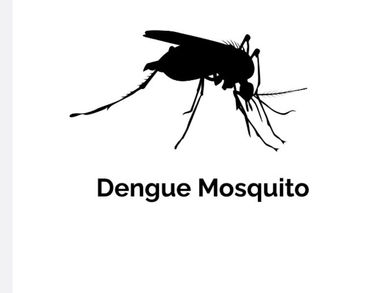 PAHO Reports Significant Dengue Fever Surge in Caribbean During Mosquito Awareness Week 2024