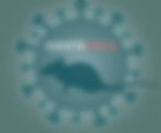Ministry of Health, Wellness and Social Services Issues Public Guidance on Hantavirus Prevention