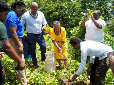 UNDP Fostering Strategic Partnerships to Build Resilience in Kalinago Territory