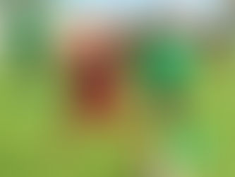 Dominica Suffers 2nd Defeat in CONCACAF Series Losing to Sint Maarten